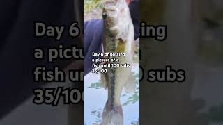 Please subscribe im running out of pictures bassfishing fishing bassfish bass bassangler [upl. by Lesli180]