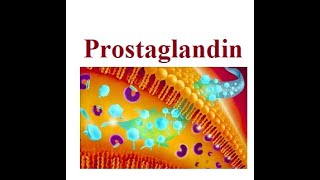 Prostaglandin structure and functions  2024 [upl. by Sprung]