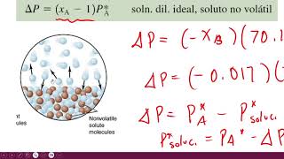 Cálculo de Disminución de la Presión de Vapor en una Solución [upl. by Kenon997]
