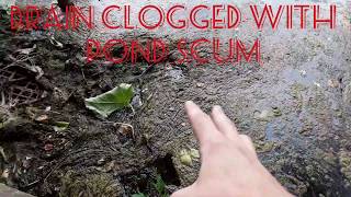 UNCLOGGING Lake Drain Clogged With Filamentous Algae Pond Scum [upl. by Ikilisav]