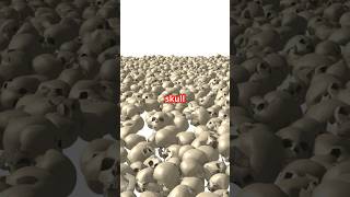 Intelligence by skull shape😲😱😱😱…shorts facts history [upl. by Akram]