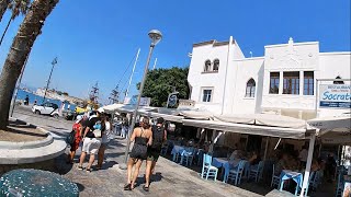 Kos town I GREECE I Dodecanese Island💙🤍💙 [upl. by Acile]