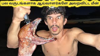 ஆச்சரியமான மீன்  Unbeatable Eel Fish Reproduce  Tamil Info Share [upl. by Kristofor31]