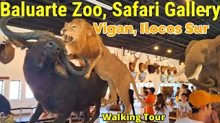 Baluarte Zoo Vigan Ilocos Sur Walking Tour BaguioBicol [upl. by Salem]