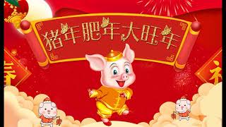 2007 央视春节联欢晚会 Chinese New Year Gala【Year of Pig】Part 2 [upl. by Aleahs278]