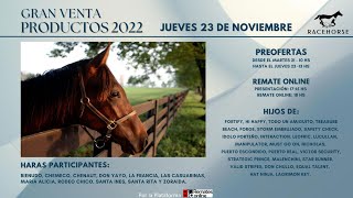 Remate en Vivo  RACEHORSE ARGENTINA [upl. by Biagi]