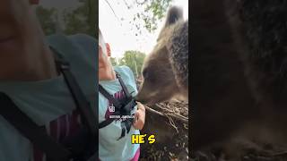 The Kid Accidentally Walked Into Bears Den bear viralvideo [upl. by Ztnaj866]