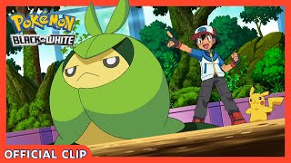 Sewaddle Evolves  Pokémon the Series Black amp White  Official Clip [upl. by Babby]