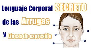 SIGNIFICADO DE LAS ARRUGAS Y LINEAS DE LA CARA Lenguaje corporal Morfopsicología [upl. by Engelbert664]