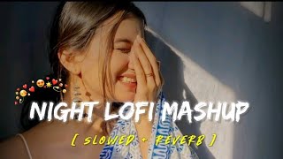 niGht loFi Song  slowed and rivarb SONG  FEEL THIS SONG  mashup song [upl. by Rimaj]