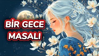 Bir Gece Masalı Sizi Sihirli Bir Dünyaya Götürecek Peri Masalları  Masal Dinle Sesli Kitap [upl. by Anohr624]