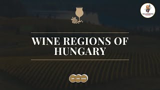 Wine Regions of Hungary [upl. by Brightman]