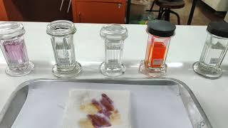 paraffin method 5 การย้อมสี Hematoxylin and Eosin HampE staining [upl. by Elaina531]