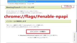 Chrome NPAPI有効設定 [upl. by Hemminger]