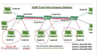 VLAN Configuration StepbyStep [upl. by Rattan]