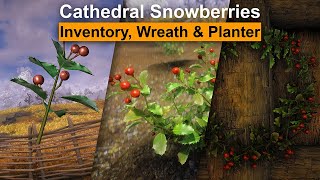 Skyrim Mod Cathedral 3D Snowberries [upl. by Blandina629]