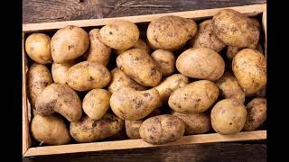 About International Potato Day which was celebrated in Ethiopia [upl. by Aleacim]