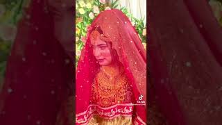 তৌহিদ আফ্রিদির বোনের বিয়ে।Tawhid afridi sister wedding nisat tasnim promi wedding [upl. by Dayle64]