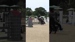 Us at hickstead qualifying for the main ring bellarose horsesaremylife competition horses [upl. by Skipp666]