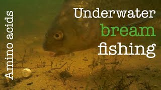 Bream fishing with boilies boosted with amino acids  Breamtime  S4 E5 [upl. by Doran]