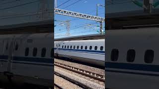 Shinkansen Nozomi full speed at Odawara Station [upl. by Nomolos809]