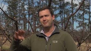 WGXA quotOn the Farmquot  February 11 2022 Greg Loyd [upl. by Killarney616]