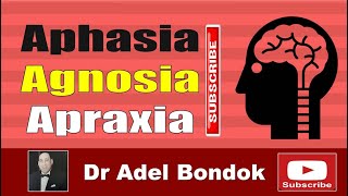 Aphasia Agnosia and Apraxia Dr Adel Bondok Making Anatomy Easy [upl. by Cedric]