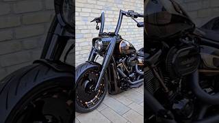 Harley Davidson bike riding video motorcycle fatboy rider 👿dream 😇bikeytshortsvideo 🔥 [upl. by Kurtz]