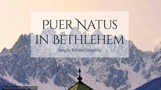 Puer Natus in Bethlehem Gregorian chant [upl. by Amadus]