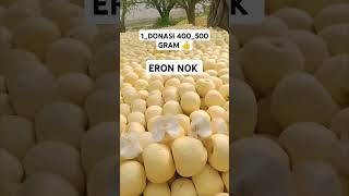 ERON NOK KOʻCHATLARIMIZ SOTUVDA ☎️ 91 116 92 00 fruit keşfet rek top smartphone automobile [upl. by Goodhen]