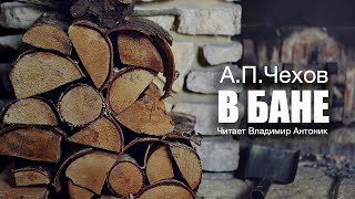 «В бане» АПЧехов Аудиокнига Читает Владимир Антоник [upl. by Naik]