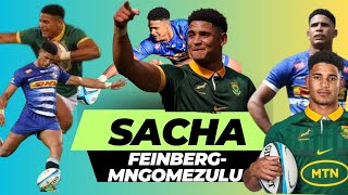 Best Of Springbok Sacha FeinbergMngomezulu  Springboks Golden Goose [upl. by Shana225]