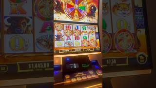 SUPER RARE 5 COINS ON BUFFALO GOLD REVOLUTION SLOT slots casino jackpot gambling slot vegas [upl. by Spalla398]