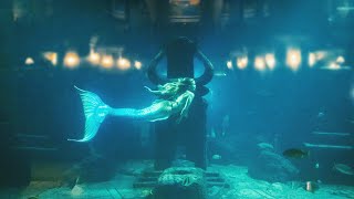 Playful Mermaids at Atlantis Bahamas  Mermaid Show [upl. by Erasaec198]