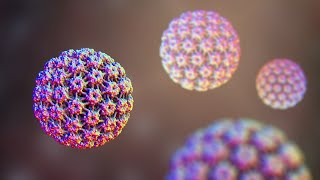 Understanding Human Papillomavirus HPV Infection [upl. by Orpah320]