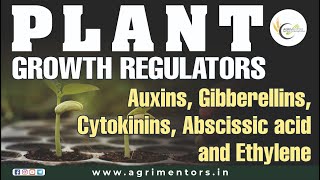 Plant Growth Regulators Auxins Gibberellins Cytokinins Abscissic acid and Ethylene [upl. by Leund]