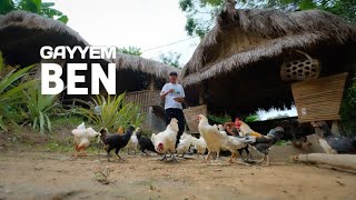 Catch native chicken and cook tinola soup for dinner  Drink beer while raining Gayyem Ben [upl. by Suivatco]