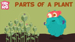 Parts Of A Plant  The Dr Binocs Show  Learn Videos For Kids [upl. by Brucie3]