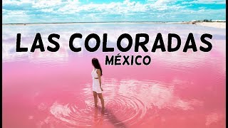 Las Coloradas  Los lagos rosas de Yucatan Mexico  Ilusion Viajera [upl. by Villiers]