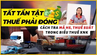 THUẾ PHẢI NỘP KHI NHẬP KHẨU TỪ TRUNG QUỐC VỀ VIỆT NAM  CÁCH TRA MÃ HS THUẾ SUẤT NHẬP KHẨU [upl. by Ablasor]