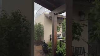 The FIRST MONSOON of the season Tucson Arizona [upl. by Sholem]