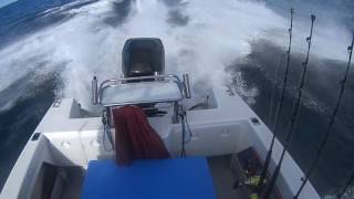 Bass Strait Boat Ocean Pro 250hp Mercury Optimax Portland Vic [upl. by Ecaroh]