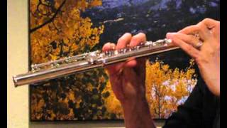 Muramatsu GX Flute used For Sale  Response Demo [upl. by Yaresed]