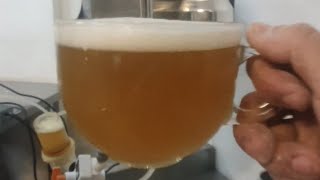 Carbonatación y latas de Kombucha [upl. by Latsyrhc]