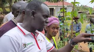 AGROECOLOGY  A SUSTAINABLE FARMING METHOD [upl. by Lirba]