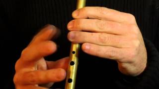 Tin Whistle Tune  The Boys of Ballisodare Part 2 [upl. by Goodman240]