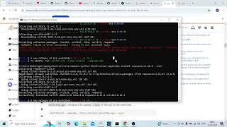 ERROR Could not install packages due to an OSError [upl. by Llesig]