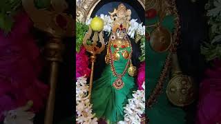 Sri Vana pechi Amman Sri Vana Veera Bhadrakali Amman [upl. by Yaral]