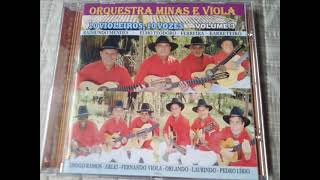 10 ORQUESTRA MINAS E VIOLA CD VOL 03 Jeitão de caboclo Valdemar Reis  Liu [upl. by Detta]