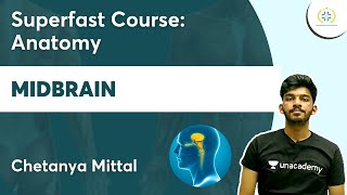 Midbrain  Superfast Course Anatomy  Unacademy Future Doctors l Chetanya Mittal [upl. by Heimer]